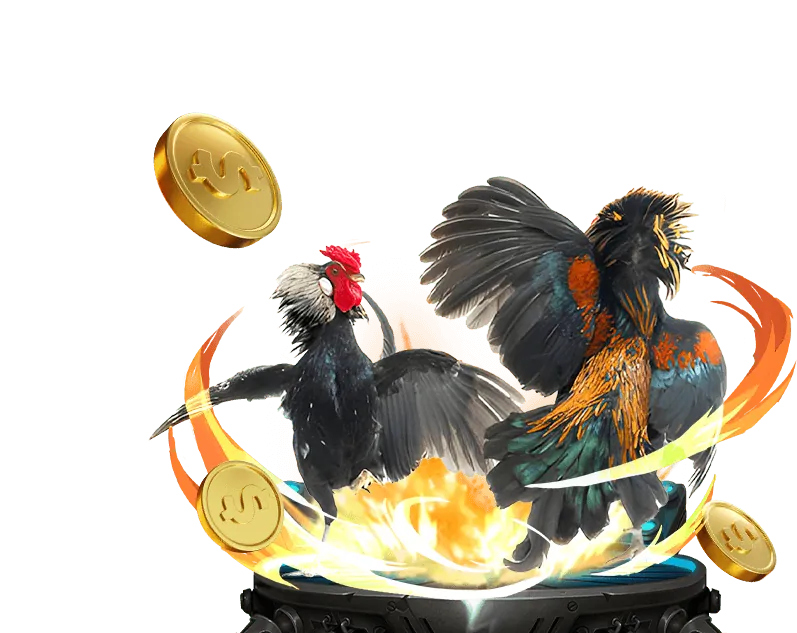 Yếu tố chọn nền tảng cá cược momolive uy tín